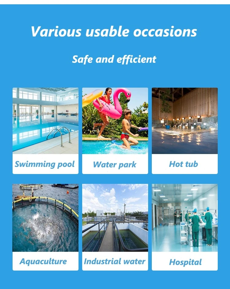 Sodium Dichloroisocyanurate SDIC Pool Disinfectant (6)