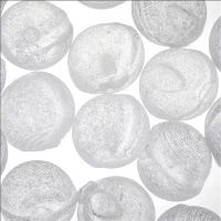 Vandbehandling 1mm 3mm 6mm 10mm 20mm Granular Siliphos Polyphosphate Crystal RO Antiscale Bolde